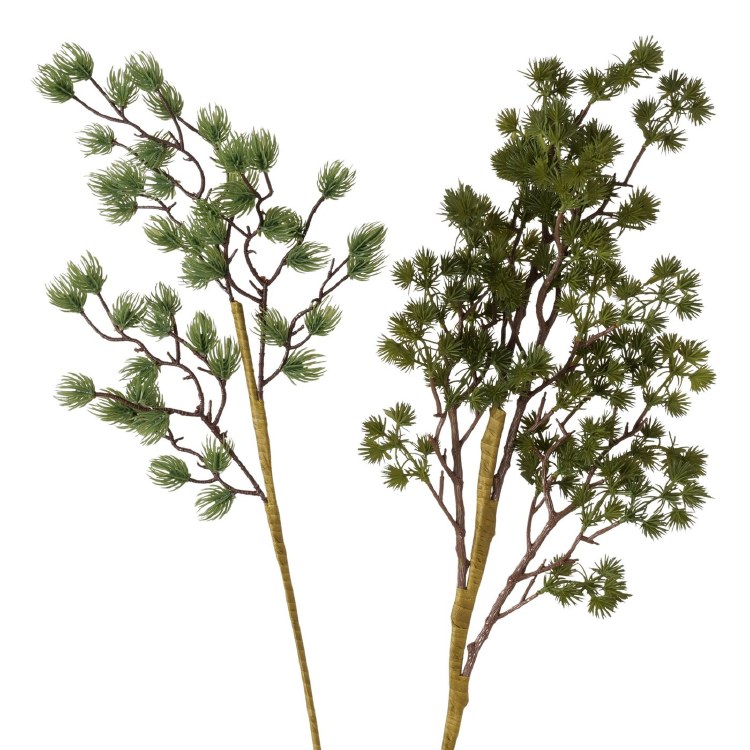 YEW BRANCH