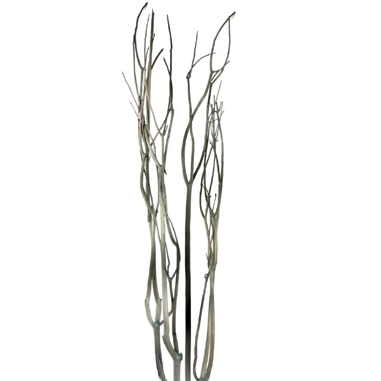 MITSUMATA TWIG BRANCH-GREY-SET/3