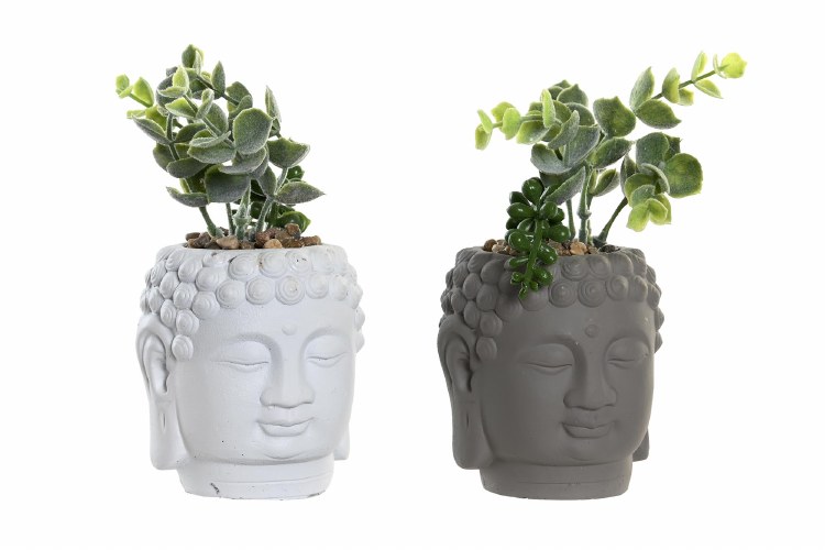 PLANT IN BUDDHA POT