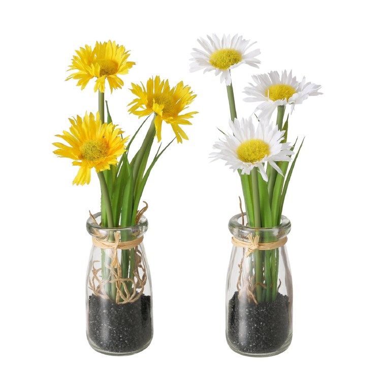 MINI DAISY PLANT IN GLASS JAR