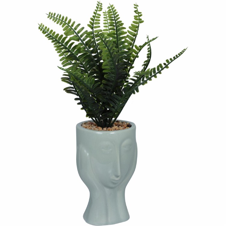 FERN IN FACE POT-WHITE