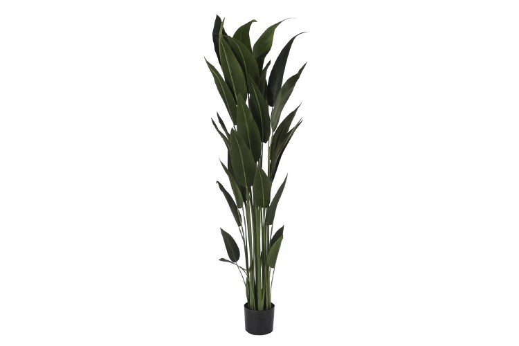 HELICONIA LEAF PLANT GREEN 5.9FT