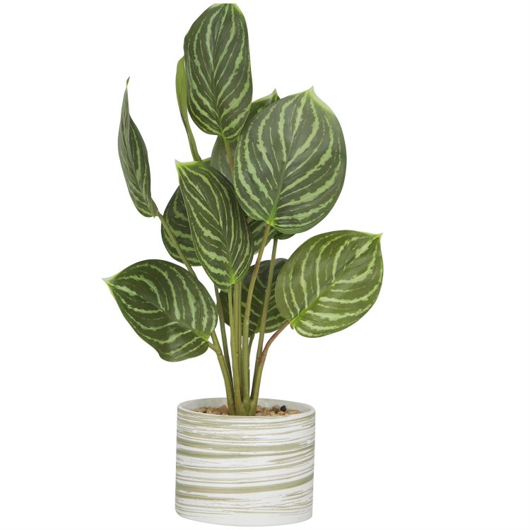 PLANT IN CERAMIC POT