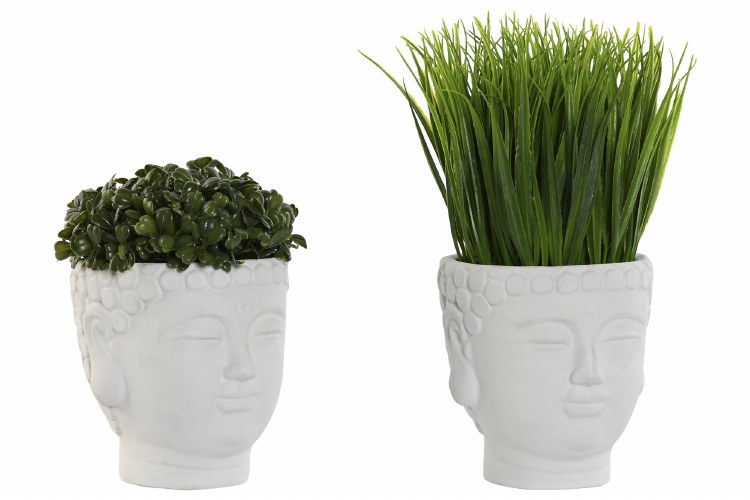 PLANT IN HEAD POT