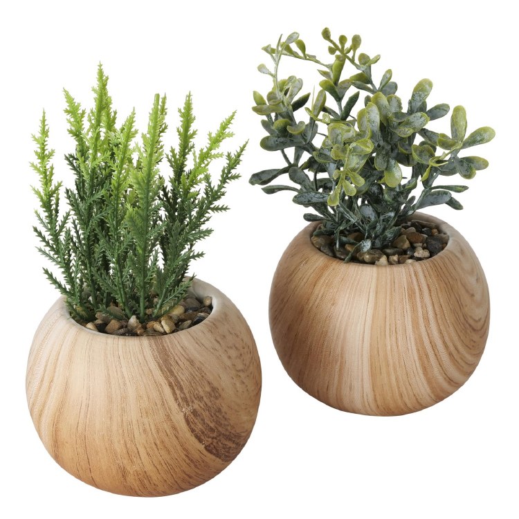 PLANT IN ROUND POT WD/RESIN