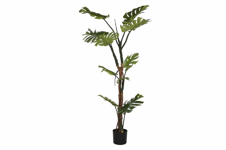 MONSTERA PLANT GREEN- LARGE