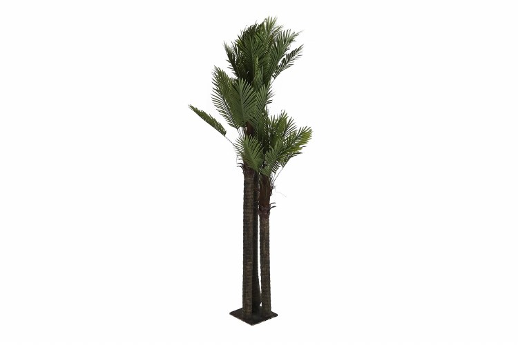 GREEN PALM PLANT 8FT