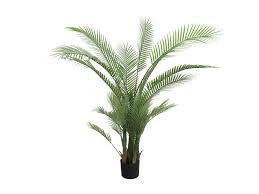 PALM IN POT-LARGE