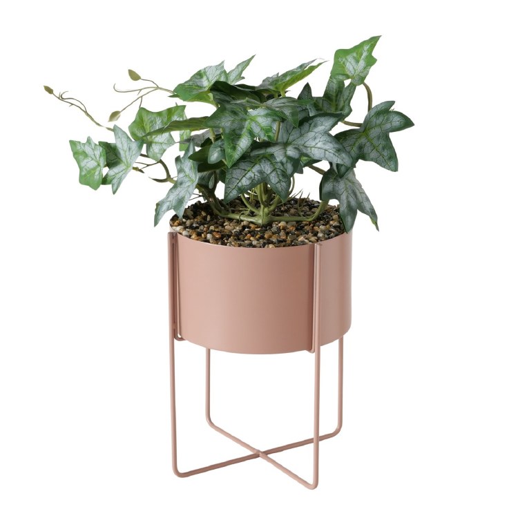 SWEET POTATO PLANT WITH STAND