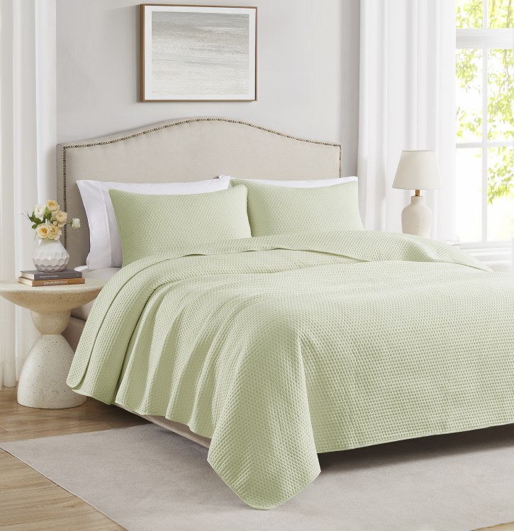 CAYLA SAGE QUILT SET-QUEEN