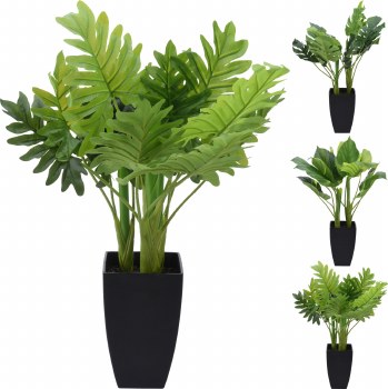 TALL PLANT IN POT