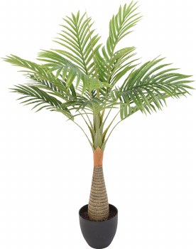 PALM PLANT IN POT