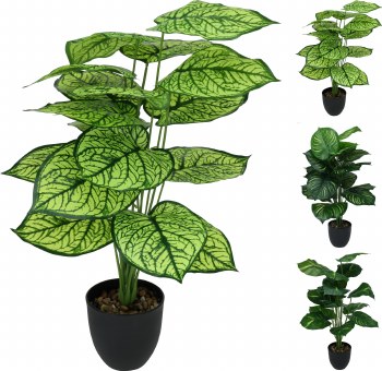 PLANT IN POT