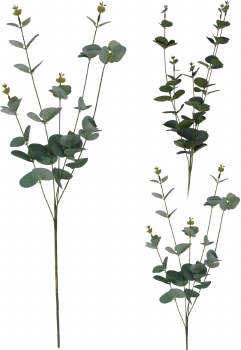FLORAL LEAF BRANCH