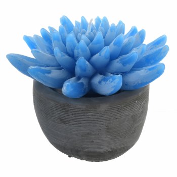 BLUE SUCCULENT CANDLE