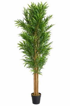 BAMBOO TREE-7FT