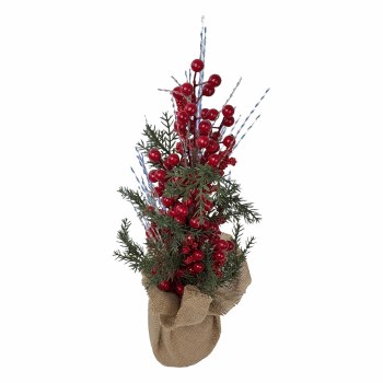 CHRISTMAS BERRY PLANT