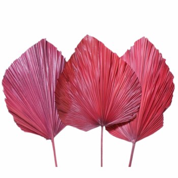 ANAHAW PALM LEAF-RED