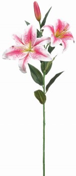 CASABLANCA LILY SPRAY