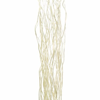 CURLY WILLOW  -WHITE-7-12 STEMS