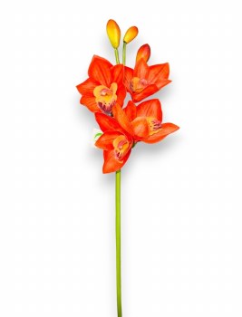 CYMBIDIUM STEM-ORANGE