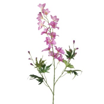 PURPLE DELPHINIUM FLOWER