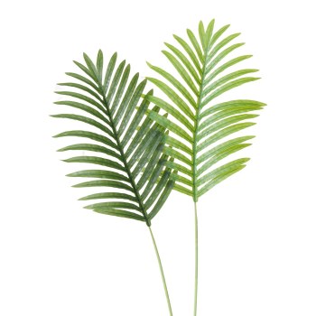 FERN LEAF FLOWER - ASSORTED