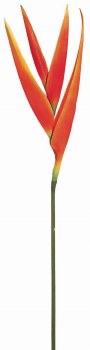 HELICONIA-ORANGE