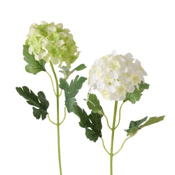 HYDRANGEA FLOWER - WHITE/GREEN