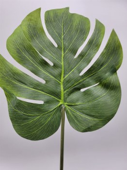 BIG LEAF-GREEN