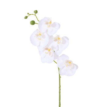 ORCHID FLOWER - WHITE
