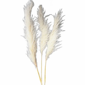 PAMPAS LONG GRASS-WHITE-SET/3