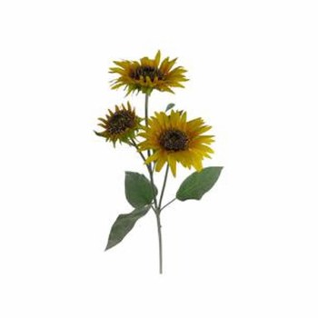 SUNFLOWER STEM