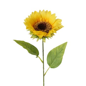 SUNFLOWER FLOWER