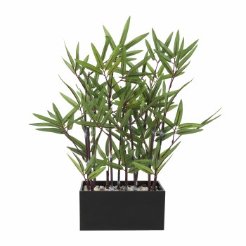 BAMBOO PLANT IN MELAMINE POT