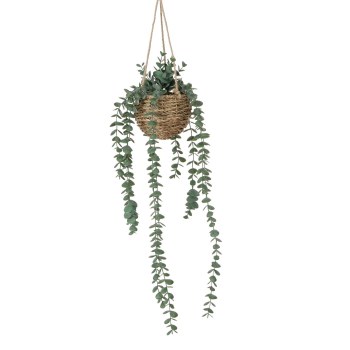 HANGING EUCALYPTUS PLANTER