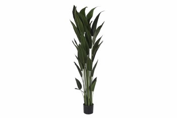 HELICONIA LEAF PLANT GREEN 5.9FT