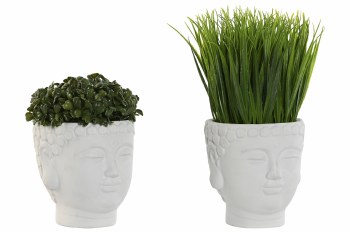 PLANT IN HEAD POT