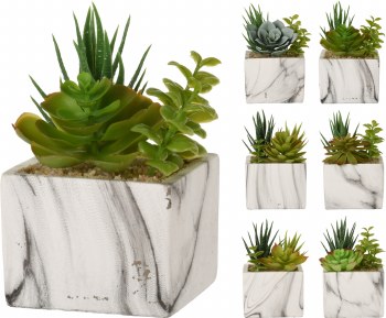 PLANT IN SQUARE MARBLE POT