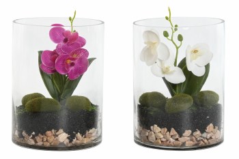 ORCHID IN GLASS VASE