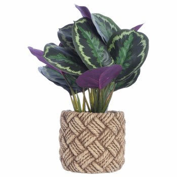 PURPLE PLNT IN WOVEN POT