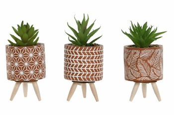 SUCCULENT PLANT IN PLANTER- BROWN