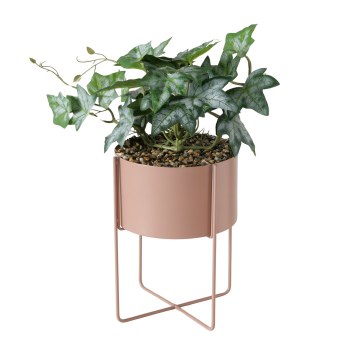 SWEET POTATO PLANT WITH STAND