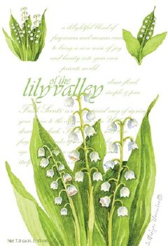 LILY OF THE VALLEY SACHET