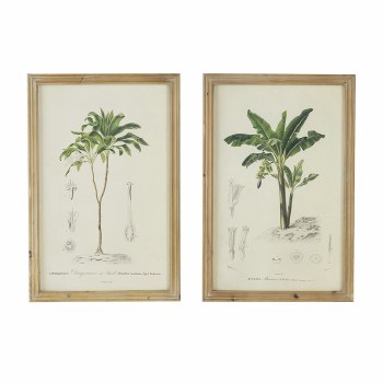 TROPICAL TREE FRAMED PRINT