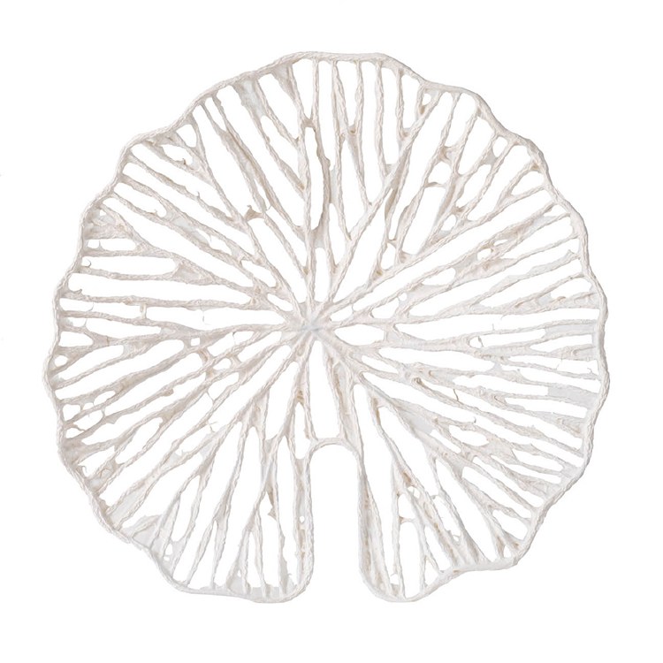 SAND DOLLAR WALL DECOR