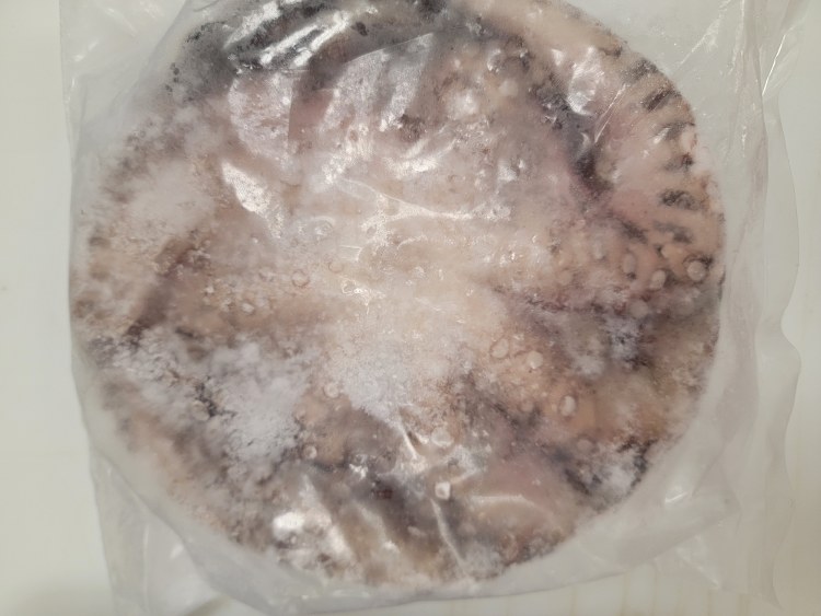 Whole Octopus
