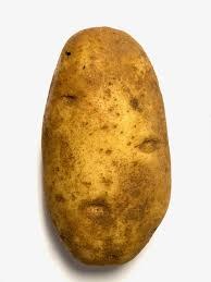 Idaho Baking Potatoes 5 Lb Bag