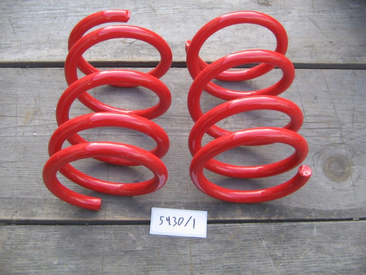 PROGRESSIVE COIL SPRING PAIR