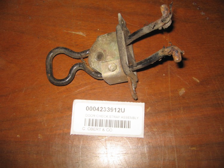 DOOR CHECK STRAP ASSEMBLY